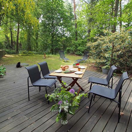 Ferienwohnung Am Duemmer See Dummer Εξωτερικό φωτογραφία