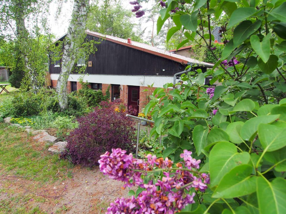 Ferienwohnung Am Duemmer See Dummer Εξωτερικό φωτογραφία