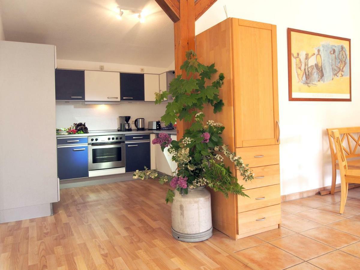 Ferienwohnung Am Duemmer See Dummer Εξωτερικό φωτογραφία