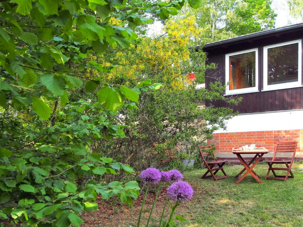 Ferienwohnung Am Duemmer See Dummer Εξωτερικό φωτογραφία