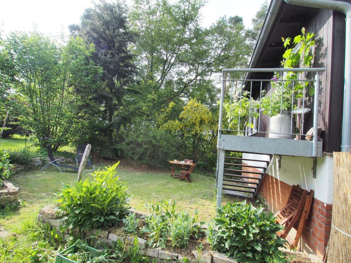 Ferienwohnung Am Duemmer See Dummer Εξωτερικό φωτογραφία