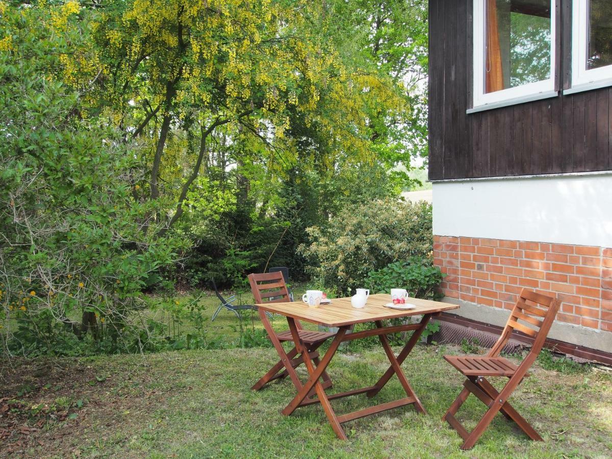 Ferienwohnung Am Duemmer See Dummer Εξωτερικό φωτογραφία